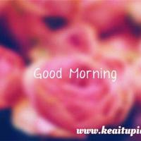 韩寒经典语录合集-爱上韩寒、爱上语录