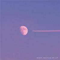 一生得失总是零