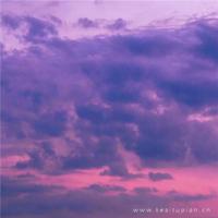 步入婚姻，请成为家庭的一员