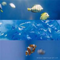 谁动了爱情的元气