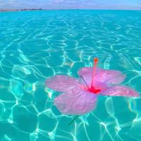 经营好自己的生活,别人才会想靠近