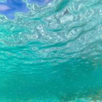 兄弟的另一种诠释