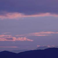 爱，就是没有理由的心疼和不设前提的宽容