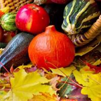 那一年,那一夜散文