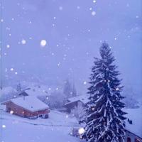 (中学校园文章)十七岁的天空