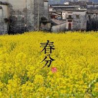 放手更好，对自己好点。