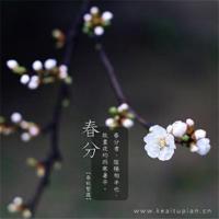 旖旎岁月,缤纷流年