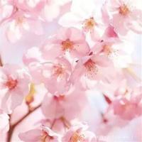 弃婴,一个丑恶的社会现象