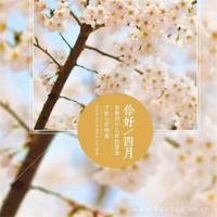 有时候，我们会落下身边的爱