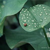 责备自己,拒绝别人