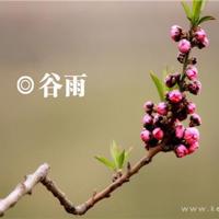 在车上我被挤得都怀了孕