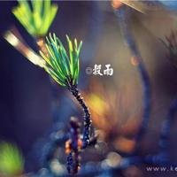 深深的思念,深深的爱