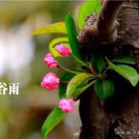 校园异事恐怖校园