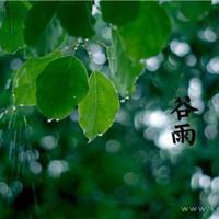 那年贺卡是情书