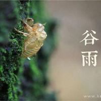 人生十字路口,向左走,向右走?