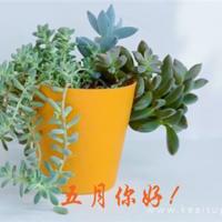 好事坏事，终成往事