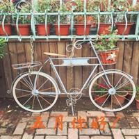 待到杏花开满春天时