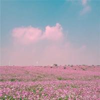 女人，你到底爱什么的男人