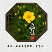 玫瑰花的爱唯美图片_对玫瑰花的爱恋