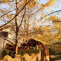 选择是一种力量