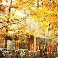 这样教坏小孩了