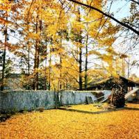 亲情名言-亲情格言