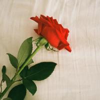 幸运，就是你有能力改变自己（深度好文）