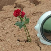 曲终人散,我还想你