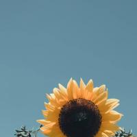 不能控制的鬼故事