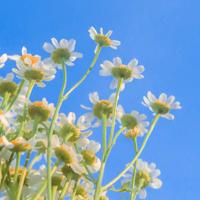 恐怖经历和见鬼