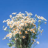 手牵着手,不知道明天到底有多远