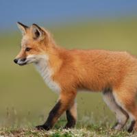 美好爱情唯美文字图片_一日不见真的想念