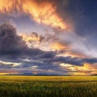 优美抒情散文 雨巷