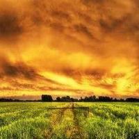 上帝给谁的都不会太多