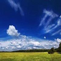 世上总有一颗心在期待呼唤着另一颗心。