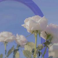 我的青春谁做主经典语录集合