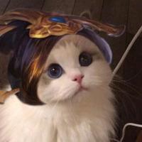 凝眸笑靥,又是一年寂寥春