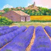 普通离幸福最近