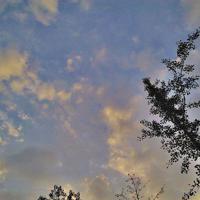 无聊的周末,一条短信引发的糗事