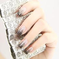 生命在地平线上跳动