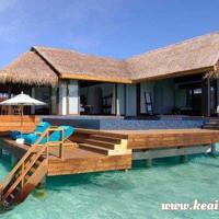 爱你,绝不低到尘埃