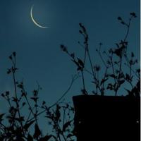 触动心灵的句子,触碰心灵的经典语句