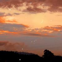 因为爱你我选择放手的伤感心酸语录说说精选