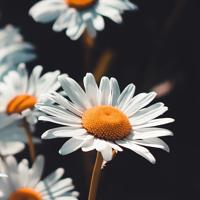 不要说岁月残忍,其实它温柔了你