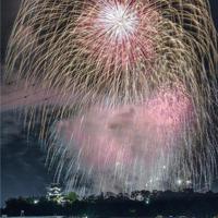 关于学会放弃的名言警句