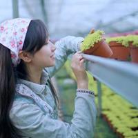 404寝室的女鬼