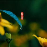 价值100万美元的11道题