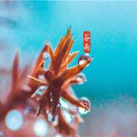 家门口的小河——家乡的美景