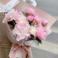 现在绊倒了，你的修行开始