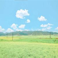 青春励志的句子致自己简短